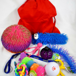 christmas sensory toys